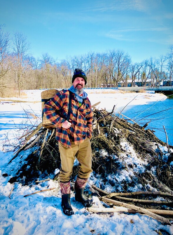 Pewaukee beaver trapping and removal